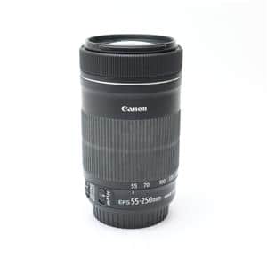 【極美品】EF-S 55-250mm 1:4-5.6 IS STM EF-S55-250mm F4-5.6 IS STM - キヤノンカメラミュージアム