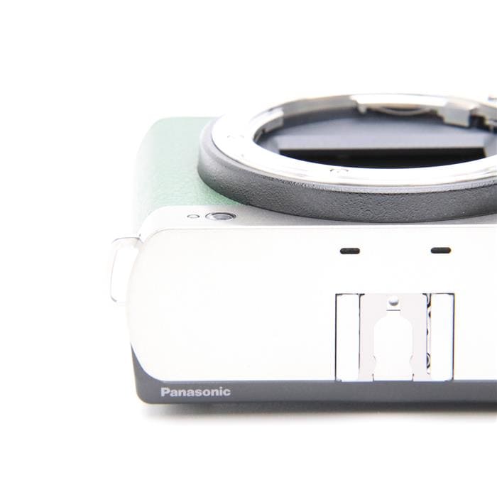 中古)Panasonic (パナソニック) LUMIX S9 ボディ DC-S9-S エクステリア