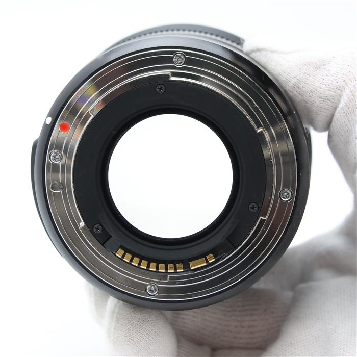 Art 24mm F1.4 DG HSM (キヤノンEF用)