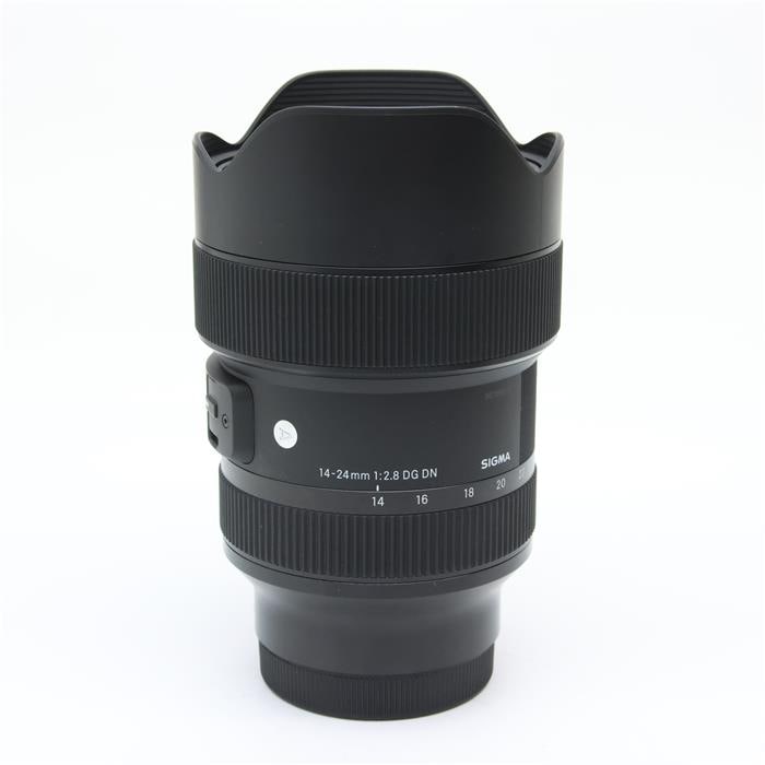 Art 14-24mm F2.8 DG DN  (ソニーE用/フルサイズ対応)