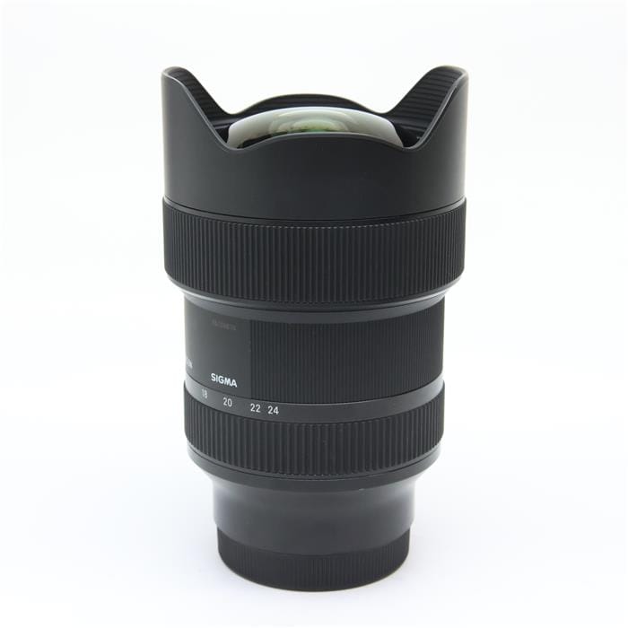 Art 14-24mm F2.8 DG DN (ソニーE用/フルサイズ対応)