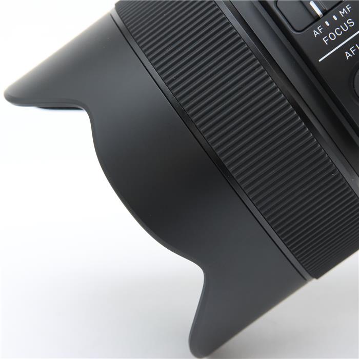 Art 14-24mm F2.8 DG DN (ソニーE用/フルサイズ対応)