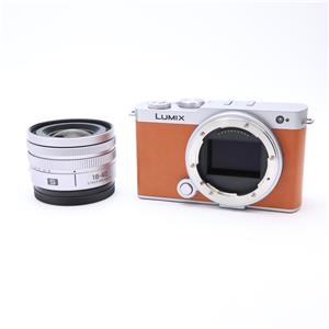 Panasonic (パナソニック) LUMIX S9 広角ズームレンズキット DC-S9N-D