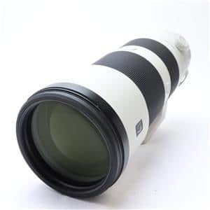 SONY (ソニー) FE 200-600mm F5.6-6.3 G OSS SEL200600G メイン