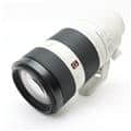 FE 100-400mm F4.5-5.6 GM OSS SEL100400GM
