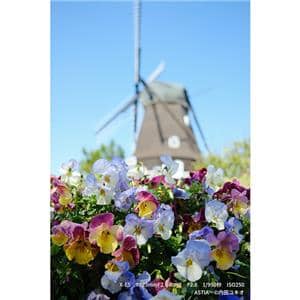 FUJIFILM (フジフイルム) X-E5 ボディ ブラック