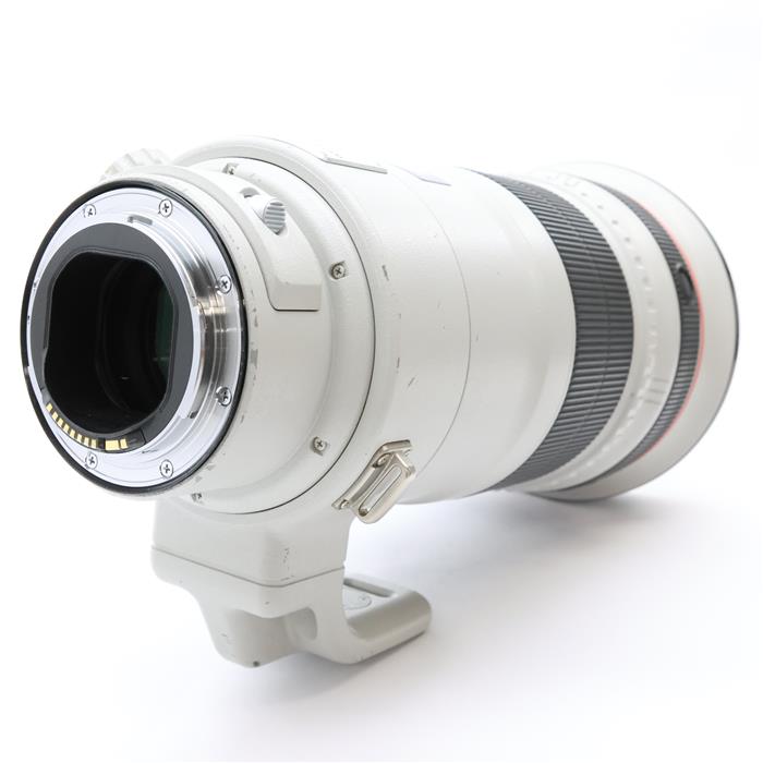 EF300mm F2.8L IS II USM