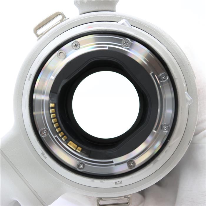 EF300mm F2.8L IS II USM