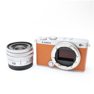 Panasonic (パナソニック) LUMIX S9 広角ズームレンズキット DC-S9N-D