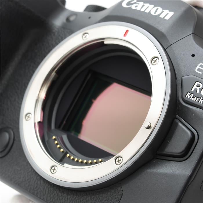 EOS R6 Mark II ボディ