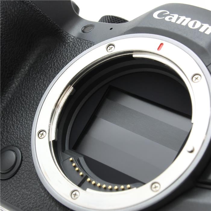 EOS R6 Mark II ボディ