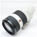 FE 100-400mm F4.5-5.6 GM OSS SEL100400GM