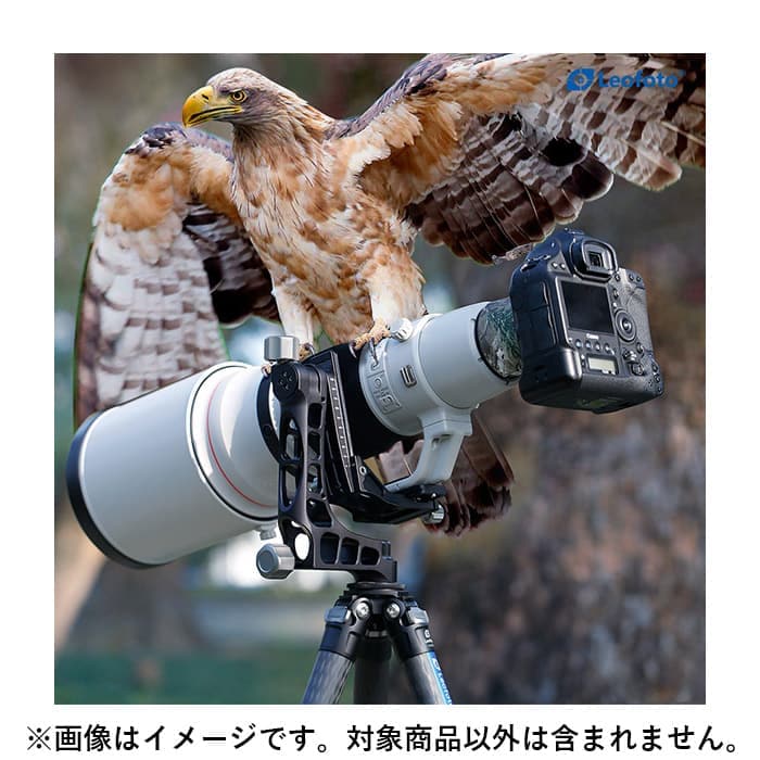 美品　Leofoto LS-365C 三脚 Amazon | レオフォト LS-365C LSレンジャーシリーズ 三脚 | leofoto | 三脚