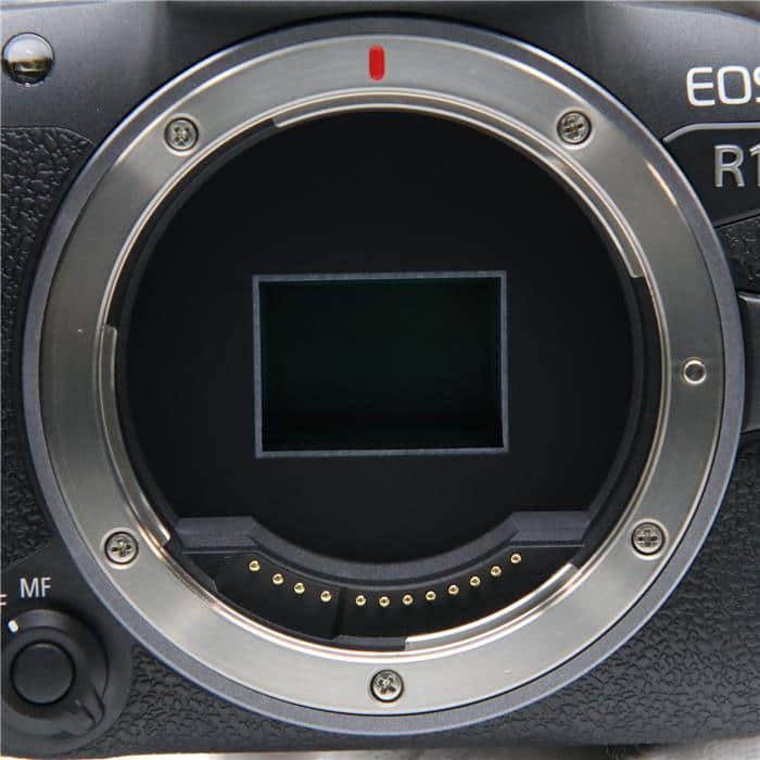 EOS R10 RF-S18-45 IS STM レンズキット