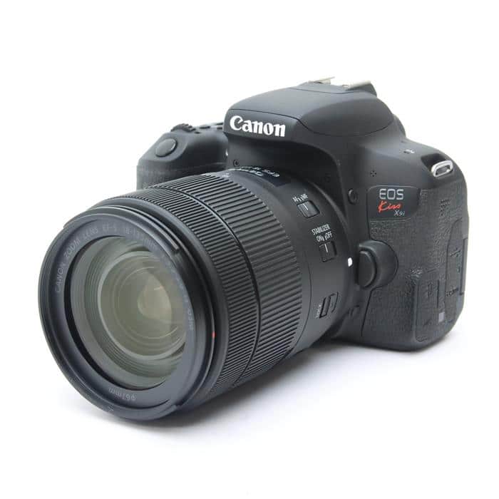 大人気✨Canon kiss X80 ボディのみ 美品 標準 望遠 Wi-Fi