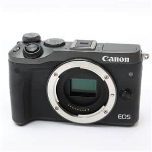 ディーンフジオカ CANON EOS M6 リーフレット 2枚セット EOS R6 Mark II・RF24-105 L IS USM：通販 | ミラーレスカメラ
