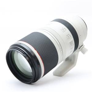 Canon (キヤノン) RF100-500mm F4.5-7.1 L IS USM メイン