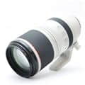 Canon (キヤノン) RF100-500mm F4.5-7.1 L IS USM