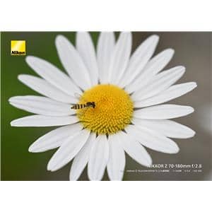 Nikon (ニコン) NIKKOR Z 70-180mm F2.8