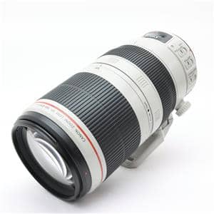Canon (キヤノン) EF100-400mm F4.5-5.6L IS II USM メイン