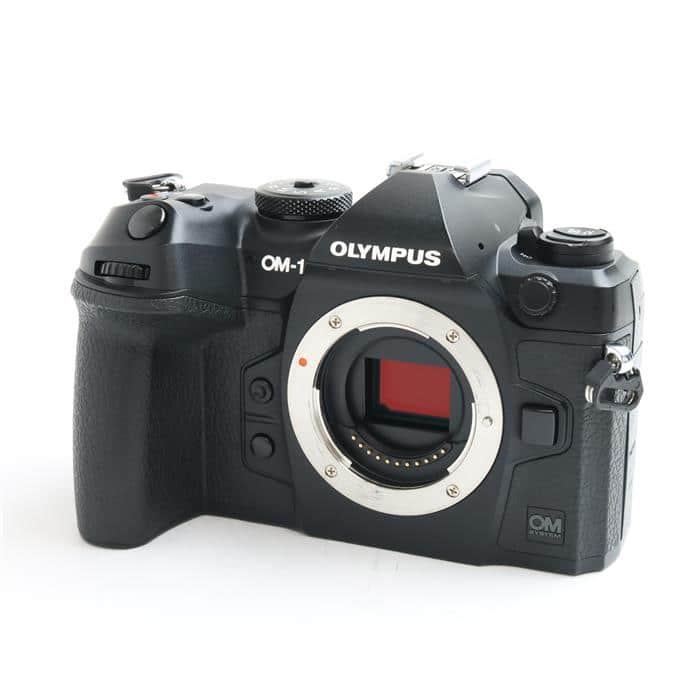 4月購入 極上品Nikon ニコン Zfc 予備バッテリー他付属（Yahoo