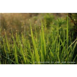 FUJIFILM (フジフイルム) X-E5 XF23mm F2.8 R WRレンズキット ブラック