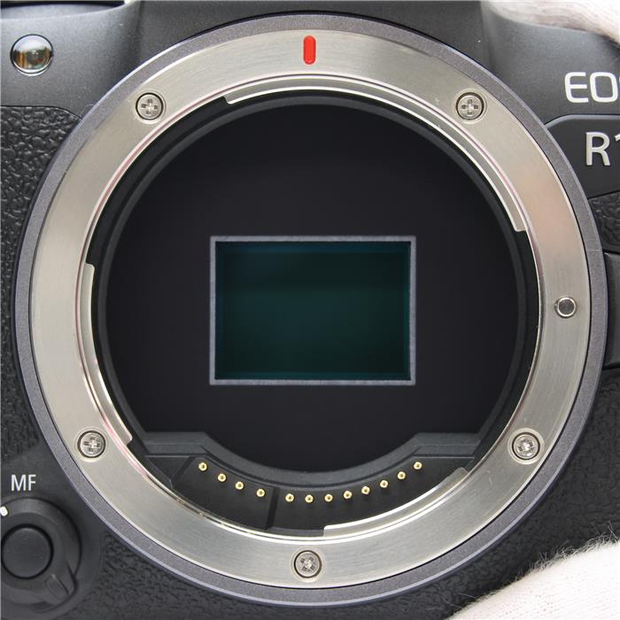 EOS R10 ボディ