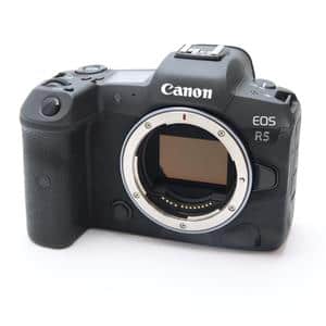 Canon (キヤノン) EOS R5 メイン