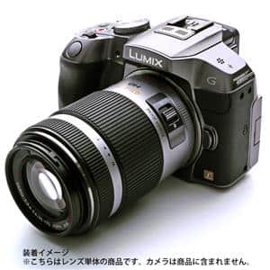 Panasonic (パナソニック) LUMIX G X VARIO PZ 45-175mm F4.0-5.6 ASPH. POWER O.I.S. シルバー