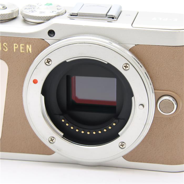 PEN E-PL9 14-42mm EZレンズキット