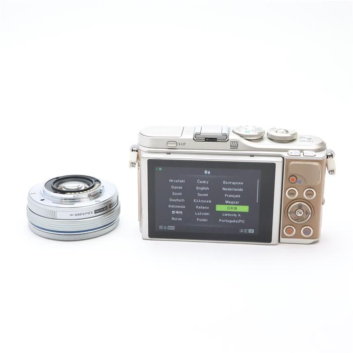 PEN E-PL9 14-42mm EZレンズキット