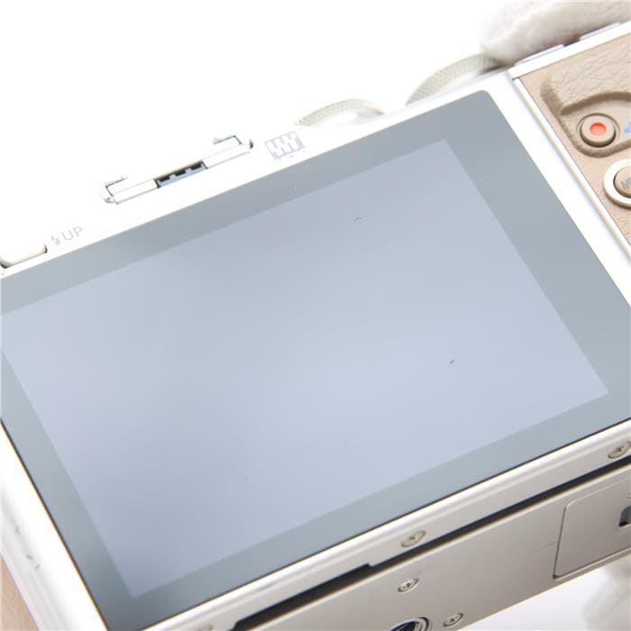 PEN E-PL9 14-42mm EZレンズキット