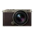 Panasonic (パナソニック) LUMIX S9 広角ズームレンズキット DC-S9N-N チタンゴールド