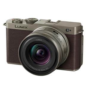 Panasonic (パナソニック) LUMIX S9 広角ズームレンズキット DC-S9N-N チタンゴールド