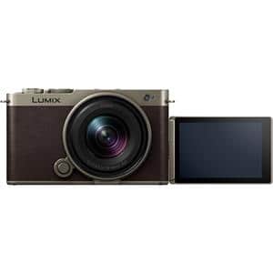 Panasonic (パナソニック) LUMIX S9 広角ズームレンズキット DC-S9N-N チタンゴールド