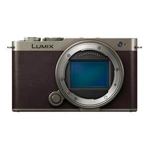 Panasonic (パナソニック) LUMIX S9 広角ズームレンズキット DC-S9N-N チタンゴールド