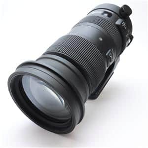 SIGMA (シグマ) Sports 60-600mm F4.5-6.3 DG OS HSM  (キヤノンEF用) メイン