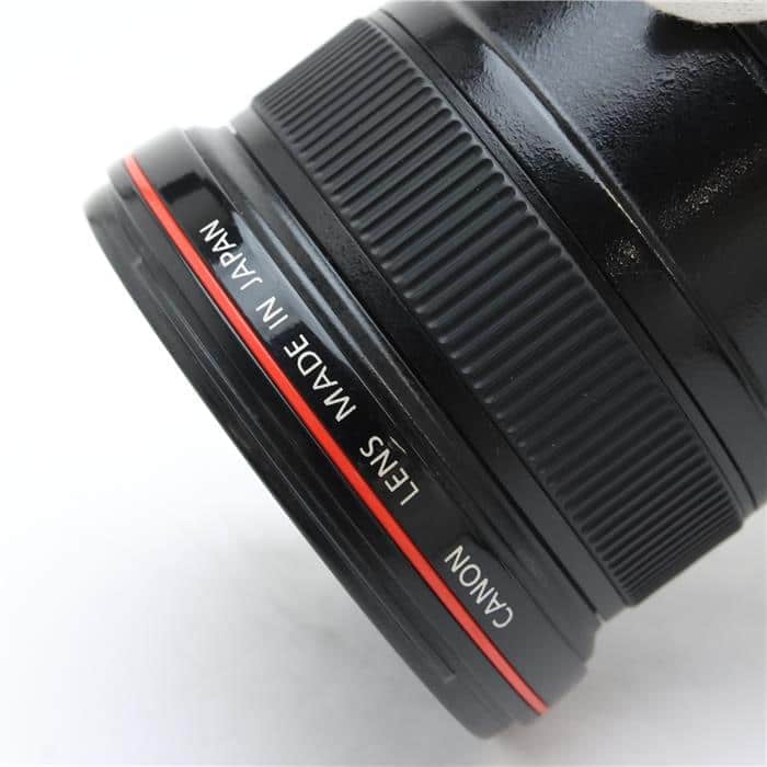 EF17-40mm F4L USM