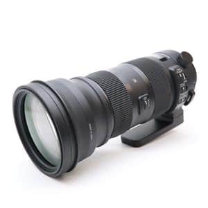 新品)SIGMA (シグマ) Sports 150-600mm F5-6.3 DG OS (ニコンF用 