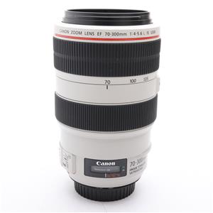 Canon (キヤノン) EF70-300mm F4-5.6L IS USM」の商品検索結果