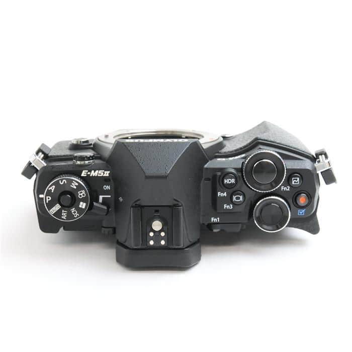 【中古】OLYMPUS E-M5 MarkII ＋望遠レンズ等オプション付き 中古)OLYMPUS (オリンパス) OM-D E-M5 Mark II ボディ ブラック