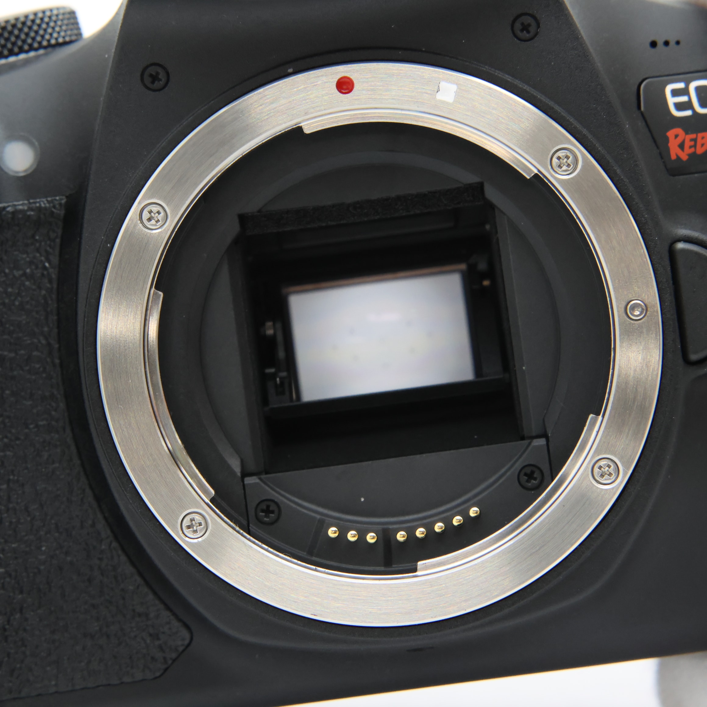 中古)Canon (キヤノン) EOS Rebel T7 ボディ（EOS Kiss X90 海外モデル