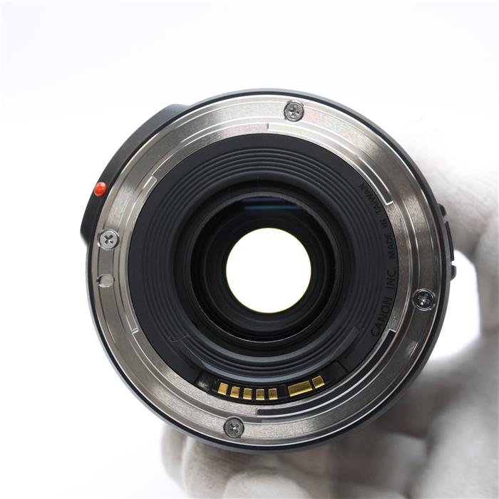 EF24-105mm F3.5-5.6 IS STM