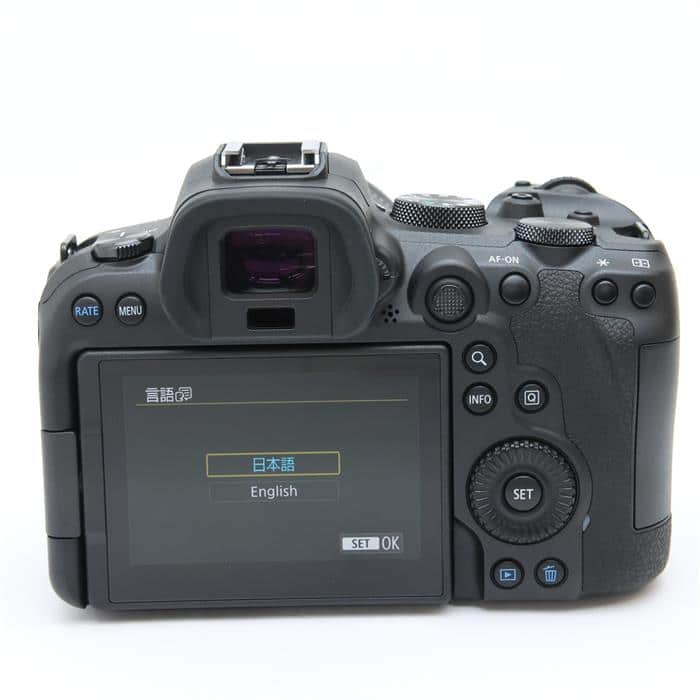 EOS R6 RF24-105 IS STMレンズキット