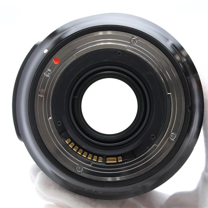 Art 24-70mm F2.8 DG OS HSM (キヤノンEF用)