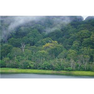 SONY (ソニー) FE 70-200mm F2.8 GM OSS II SEL70200GM2