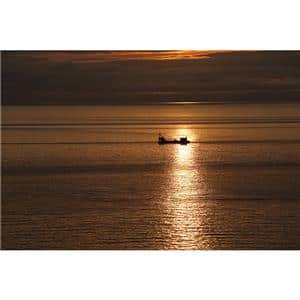 SONY (ソニー) FE 70-200mm F2.8 GM OSS II SEL70200GM2