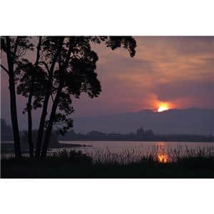 SONY (ソニー) FE 70-200mm F2.8 GM OSS II SEL70200GM2