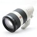 FE 100-400mm F4.5-5.6 GM OSS SEL100400GM
