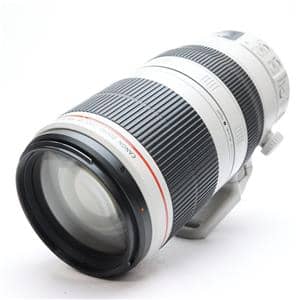 Canon (キヤノン) EF100-400mm F4.5-5.6L IS II USM メイン
